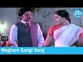 Megham Karigi Song - City Rowdy Movie Songs - Rajasekar - Madhavi - Anuradha - Sankar Ganesh Songs