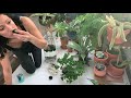 Middle of video