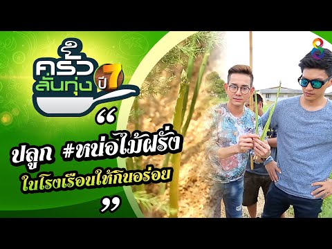 วีดีโอ: หน่อไม้ฝรั่งสดกับมันฝรั่งใหม่