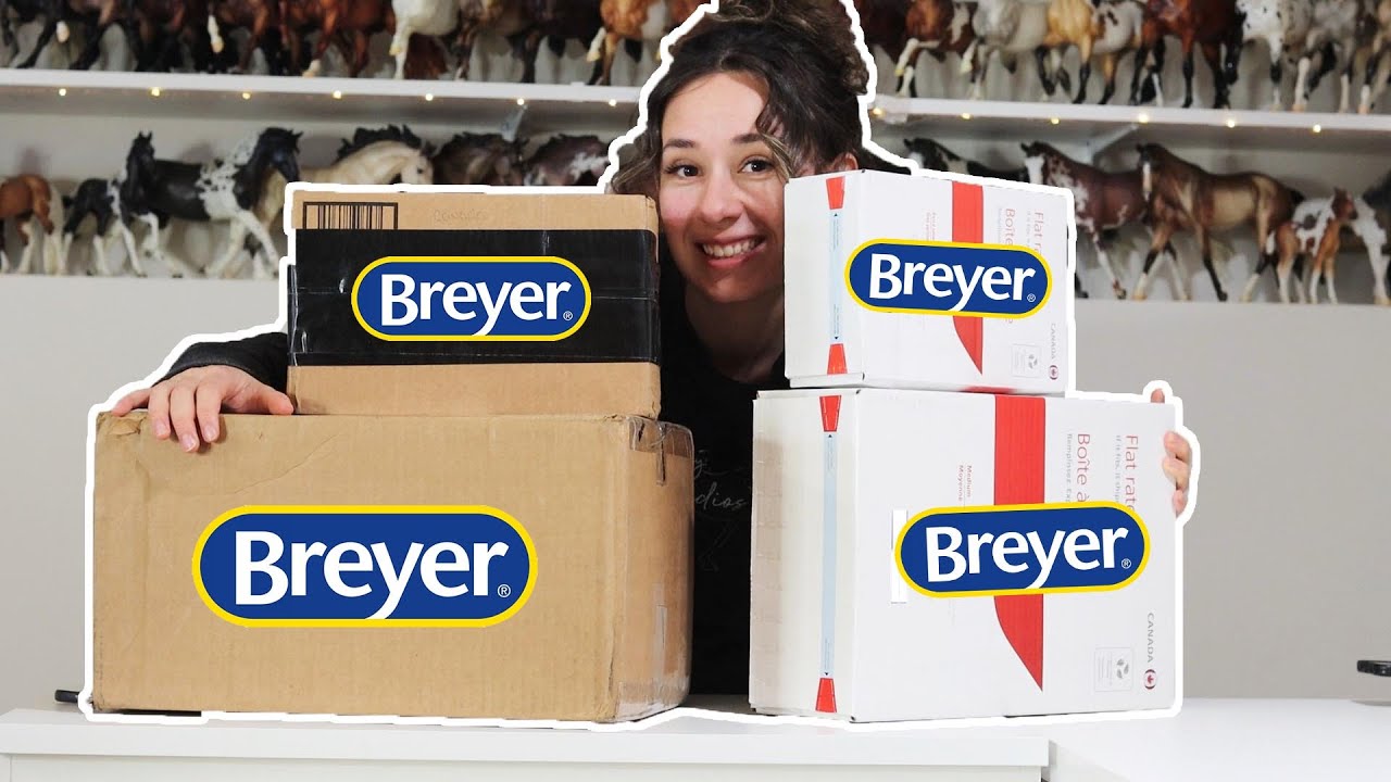 Risking my life for a BREYER Model Horse Unboxing