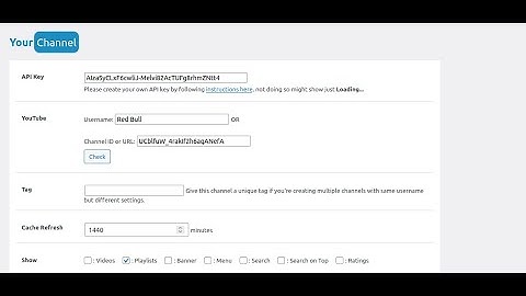 How To Embed YouTube Playlist on WordPress- YourChannel | Plugin Builders | Embed Multiple Playlists