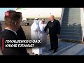 Лукашенко в Эмиратах: климат, планы на саммит и отношения с Африкой | Рабочая поездка Президента