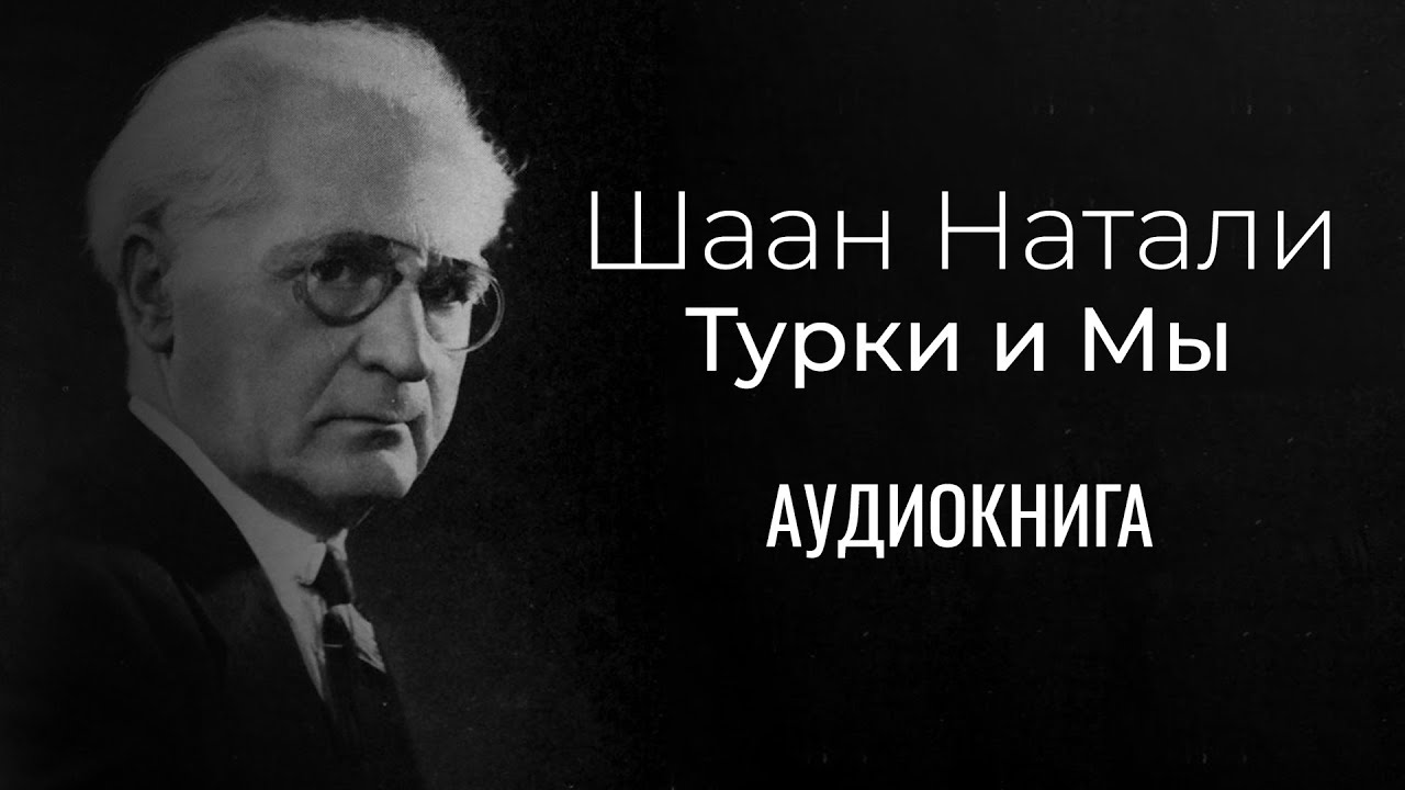 Шаан Натали - Турки и мы. Аудиокнига