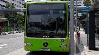 SMB96J(MDDEP) On Service 861 At Yishun Ring Road. Mercedes-Benz OC500LE Batch 2 Tower Transit SMB96J(MDDEP) On Service 861 At Yishun Ring Road. Mercedes-Benz OC500LE Batch 2 Tower Transit
