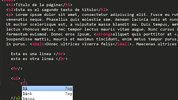 ¿Qué función tiene la etiqueta UL en HTML?