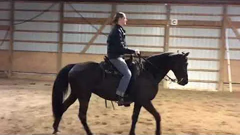 Peggy in the arena