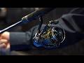 L'Angolo dell'Esperto - Sustain  (Shimano)