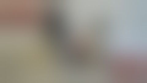 Mutation-X v2  VS  the Doge v2