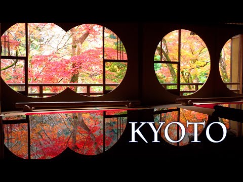 KYOTO in Late Autumn 2021.晩秋の京都　#4K #祐斎亭