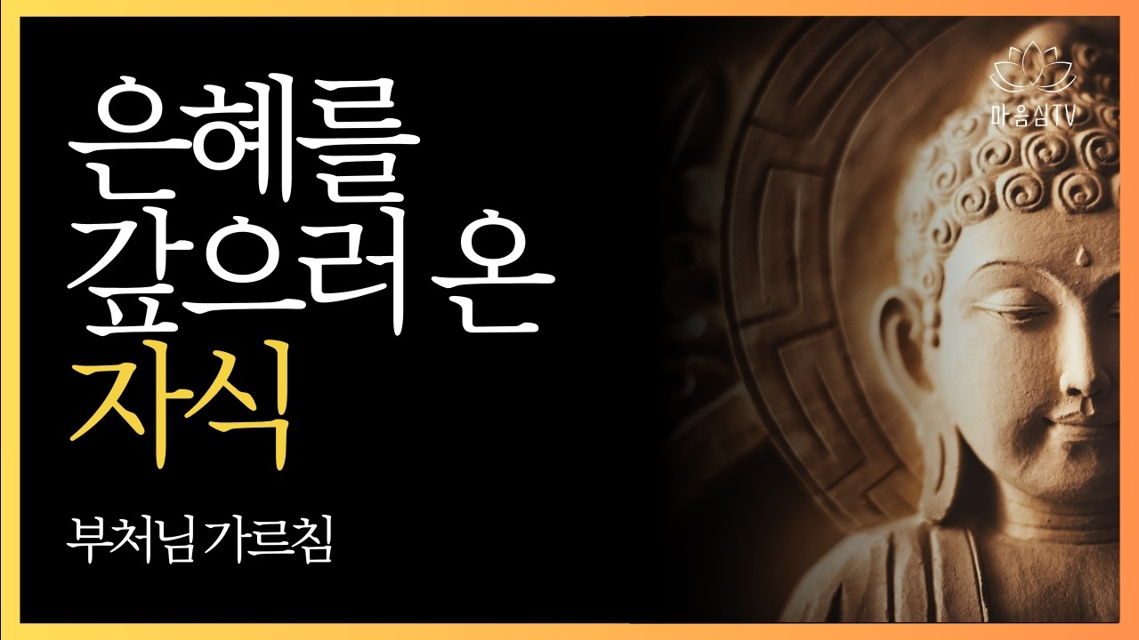 자녀 전생 인연 알면 눈물 나는 비밀 4가지 | 부처님 지혜