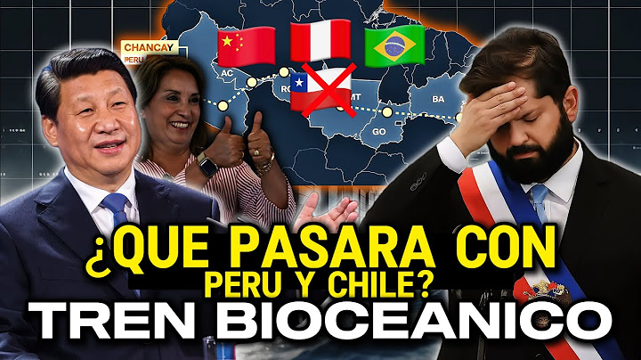 Peru, China, and Brazil plan to abandon Chilean ports | Bioceanic Train