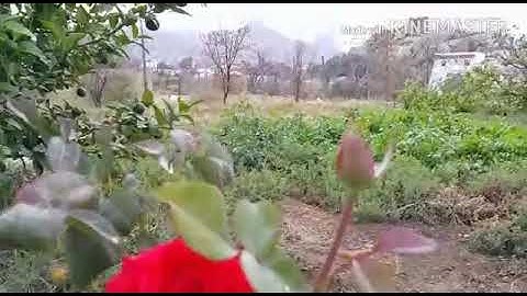 دعاء اصبحنا واصبح الملك لله من اذكار الصباح # تصوير وإخراج عمرالثقفي