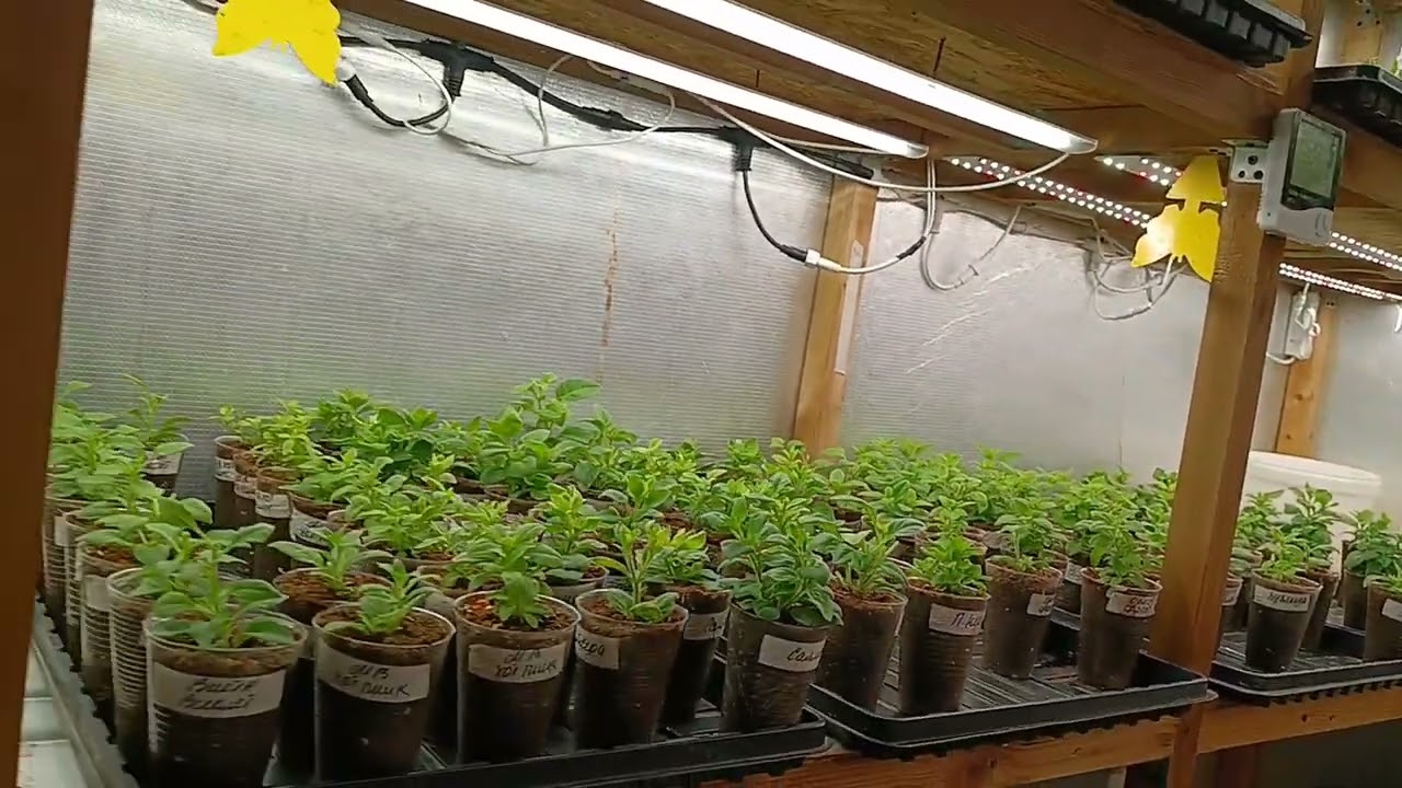 😱Агробалт рулит😱Огромные потери на стеллаже😭