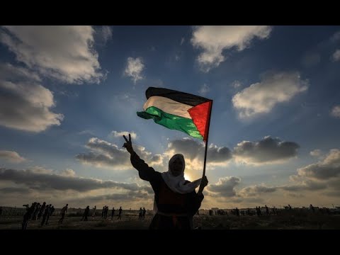 Palestine Solidarity: Speak Out/Talk Back