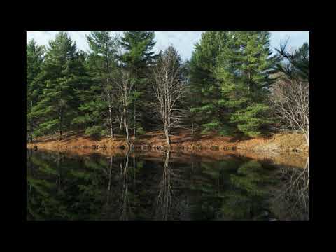 Bastien Laval Feat Layla Restlessness Club Mix