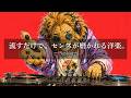 【洋楽𝐏𝐥𝐚𝐲𝐥𝐢𝐬𝐭】中毒注意⚠️ 流すだけで「センスいい」と思われる洋楽プレイリスト🎧