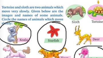 an unexpected help Book work, chapter 5th, class 2nd, english reader