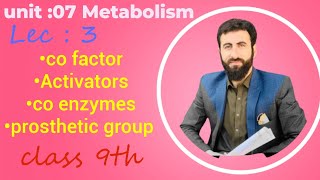 Co factors | co enzymes| Urdu Hindi lecture| bio for all 