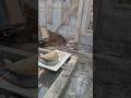 Bangun rumah design sendiri #6 #property #short #viral