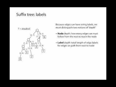 Suffix tries and trees