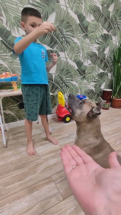 youtube.com