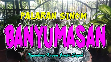 Palaran Sinom Banyumasan, Gending Jawa Klasik Kagem Jampi Sayah Gending Kagem Pengantar Tidur