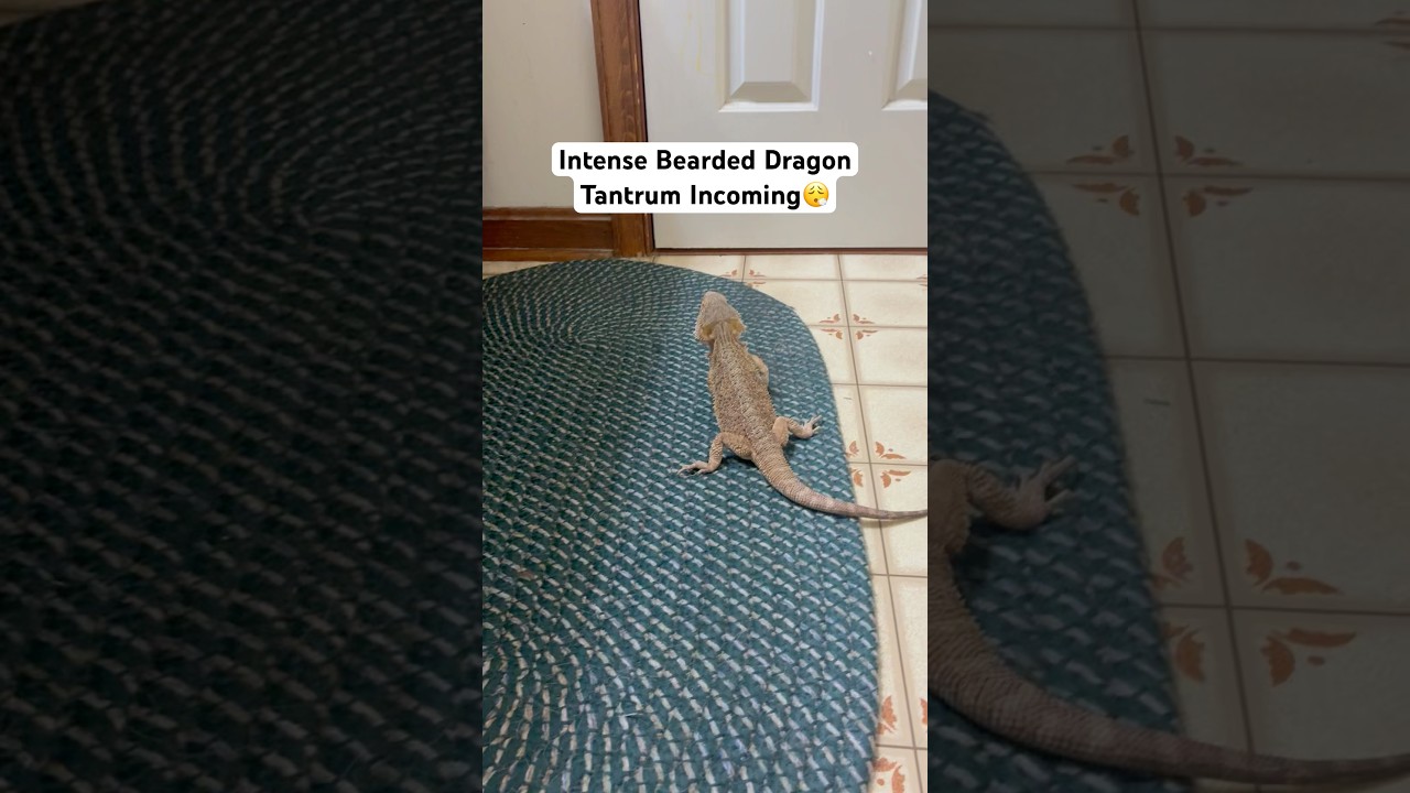 THIS GIRL🤦🏻‍♀️ 