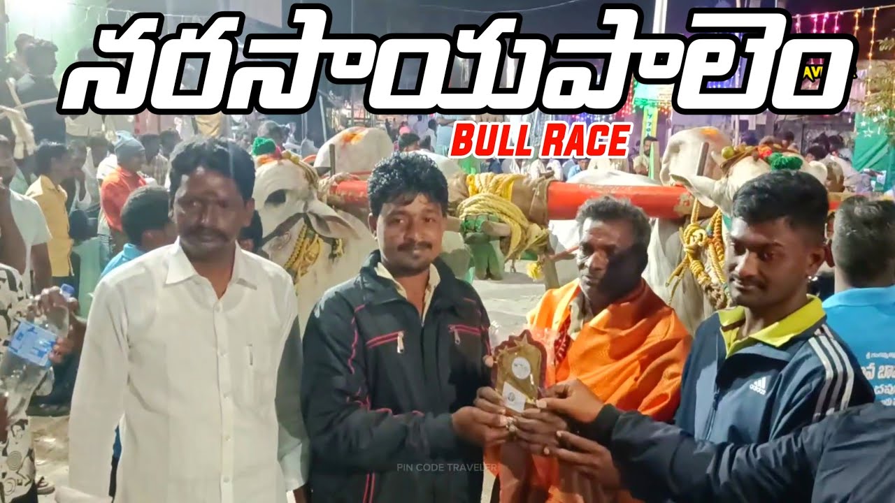 Narasayapalem Village Junior Ongole Bull Race | State Level Competition | PIN:- 522113 | 26/12/2025