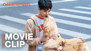 She trained a guide dog to help her blind best friend | Chinese Drama | Adoring