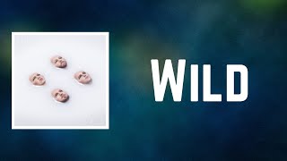 Watch Kings Of Leon Wild video