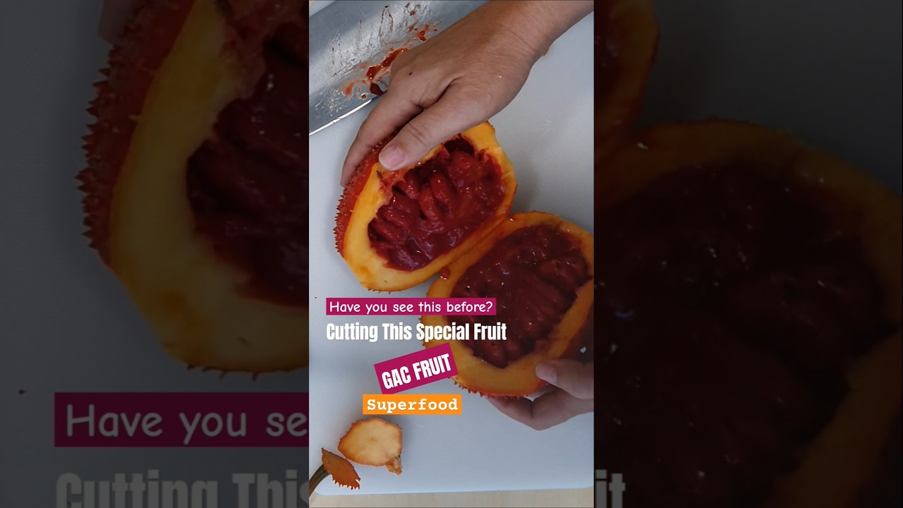 Gac Fruit Tropical Fruit supperfood #carotenoids #food #foodie #fruitcutting #plants #shorts