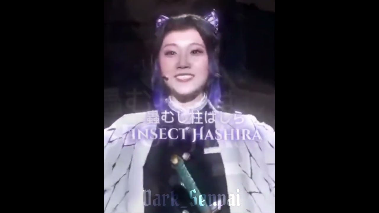 Hashira Introduction Edit Hashiraedit