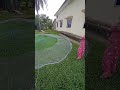 Cambodian cast net throwing test សាកសំណាញ់ថ្មី