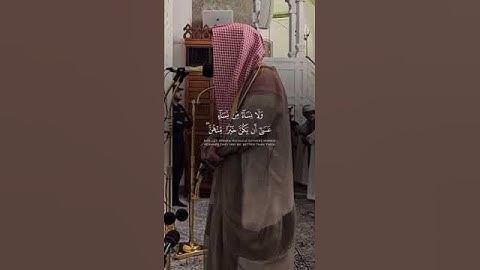 الوليد الشمسان | سورة الحجرات