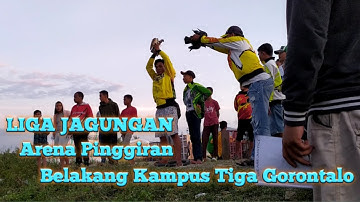 LIGA JAGUNGAN.. Lomba Merpati Balap Sprint. Arena Belakang Kampus 3 Gorontalo