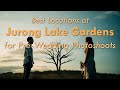 Jurong Lake Gardens: Best locations and tips for pre-wedding photoshoots