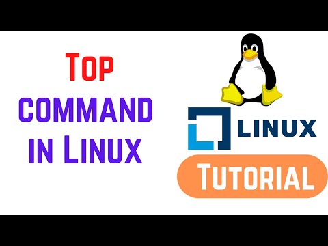 Top command in Linux with examples | How to Use Linux Top Command