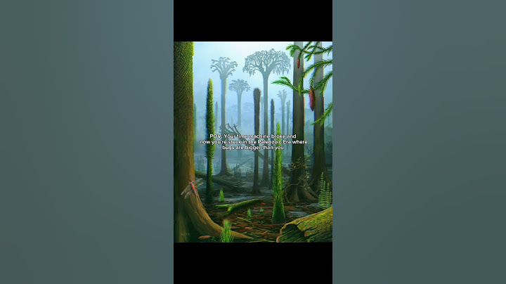 POV: Your time machine broke and you're stuck in the Paleozoic Era#dinosaur #mesozoic #jurassicworld