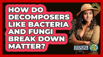How Do Decomposers Like Bacteria And Fungi Break Down Matter? - Ecosystem Essentials