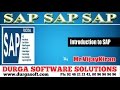 SAP || Introduction to SAP