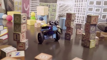 Self balancing Nervous Bird