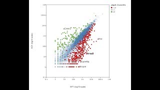 Differential Expression Analysis in VisRseq using edgeR app