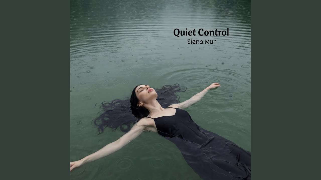 Watch Quiet Control on YouTube Watch Quiet Control on YouTube