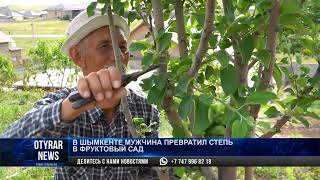В Шымкенте мужчина превратил степь в фруктовый сад