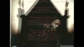 The D.O.C. - Return Of Da Livin' Dead (RMX)