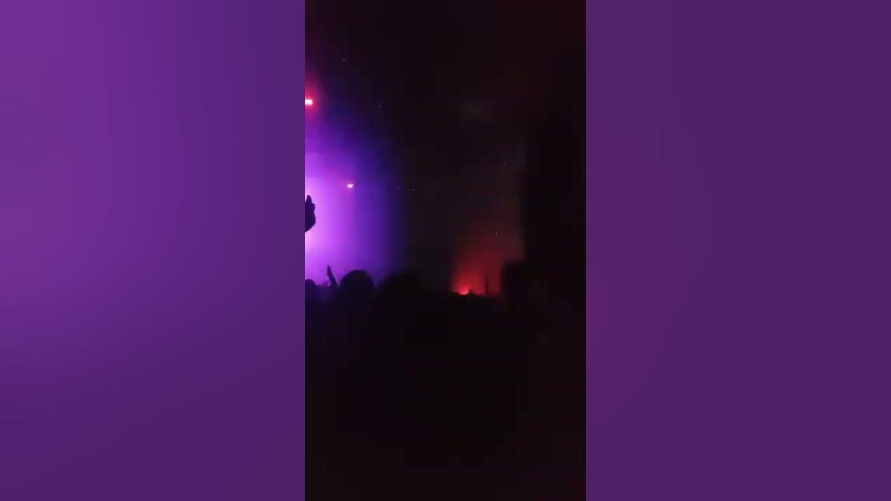 Griz collab w/ TVBOO... Bass or bass? (yessir)