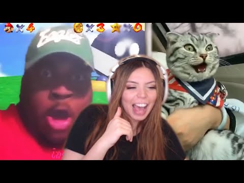 adept-reacts-to-memes-compilation-with-chat!