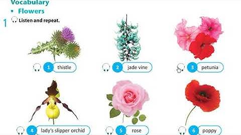 Excel 8.Module 6. The Natural World (Vocabulary).p 63