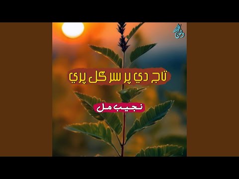 زموږ زړه روح اوتن د مر دانو وطن