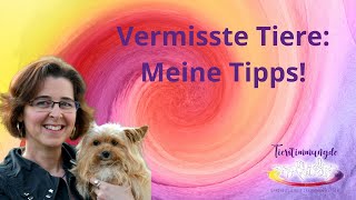 Tierkommunikation – Vermisste Tiere: Meine Tipps! 💕